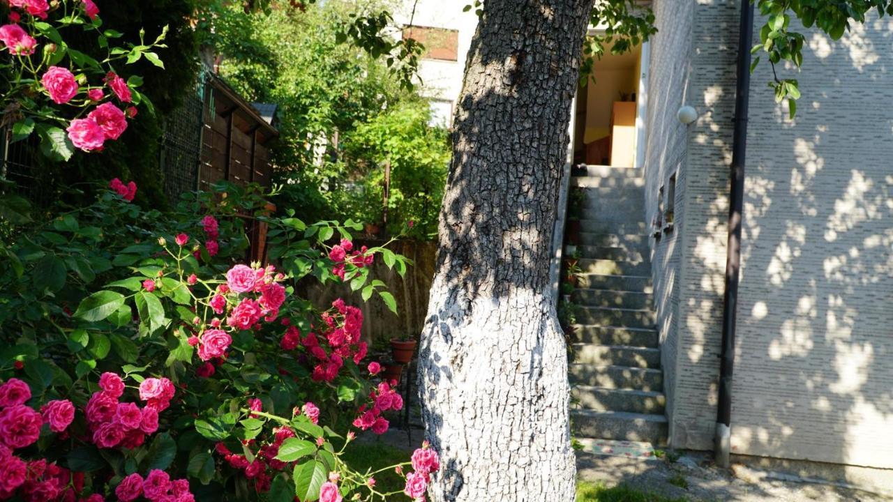 Hedgehog'S Home - Jezeva Kucica Free Parking Sarajewo Zewnętrze zdjęcie