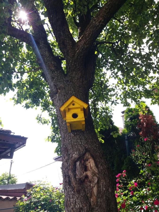 Hedgehog'S Home - Jezeva Kucica Free Parking Sarajewo Zewnętrze zdjęcie