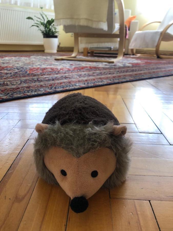 Hedgehog'S Home - Jezeva Kucica Free Parking Sarajewo Zewnętrze zdjęcie